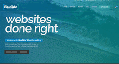 Desktop Screenshot of bluetideconsulting.com